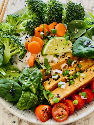 Tofu Rice Bowl