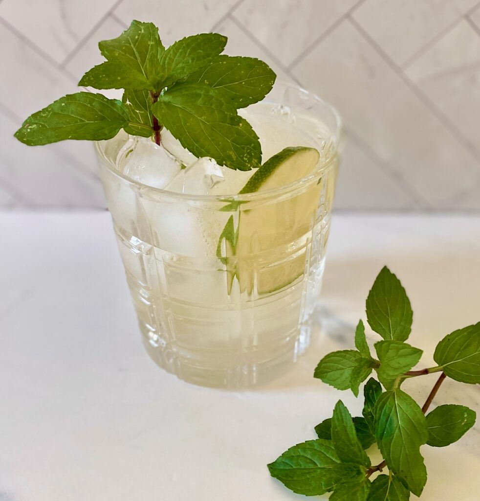 single Hugo spritz with mint garnish